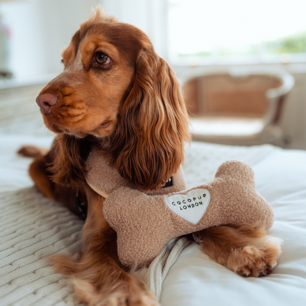 Jouet os Teddy Rupert