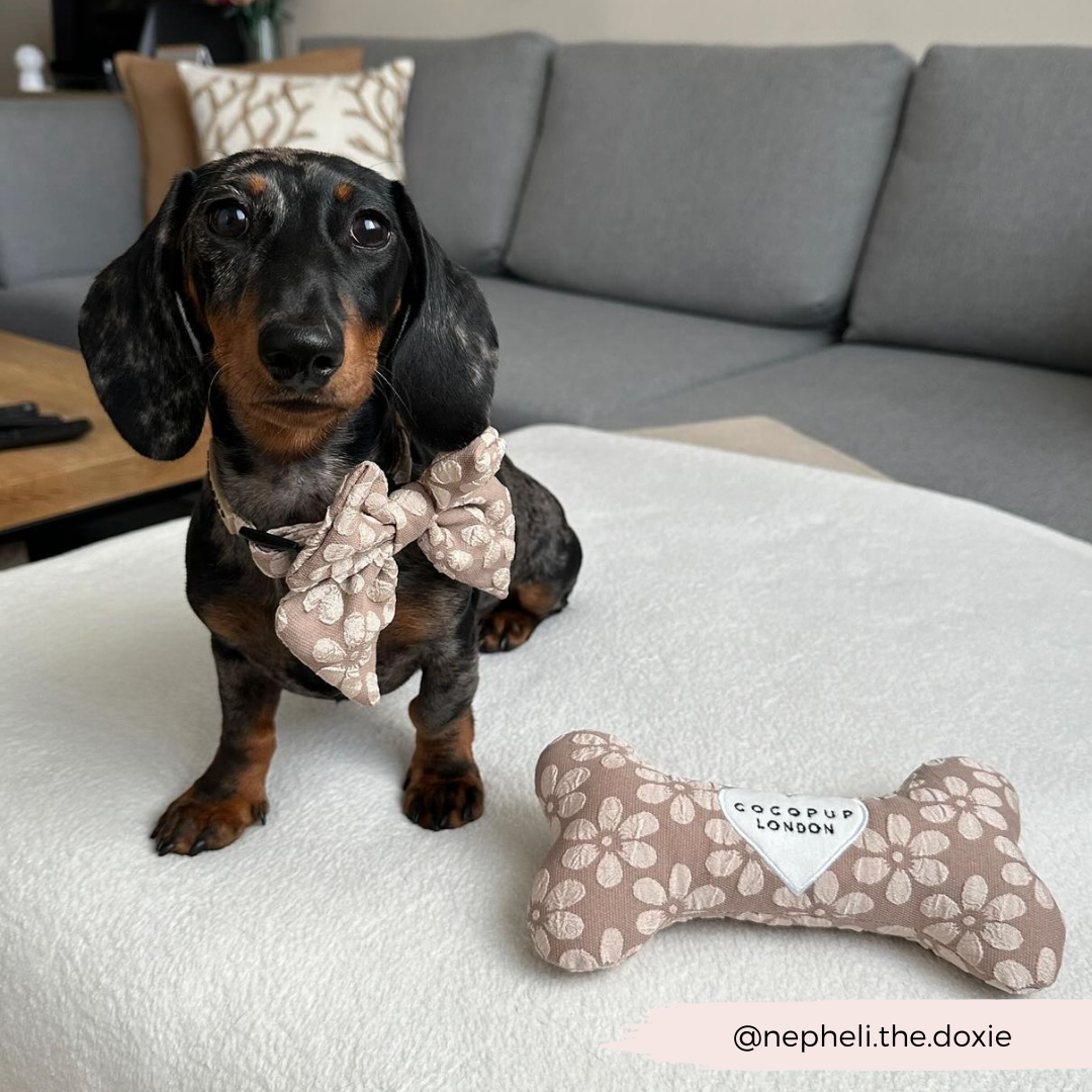 Jouet os Mocha Flower pour chien
