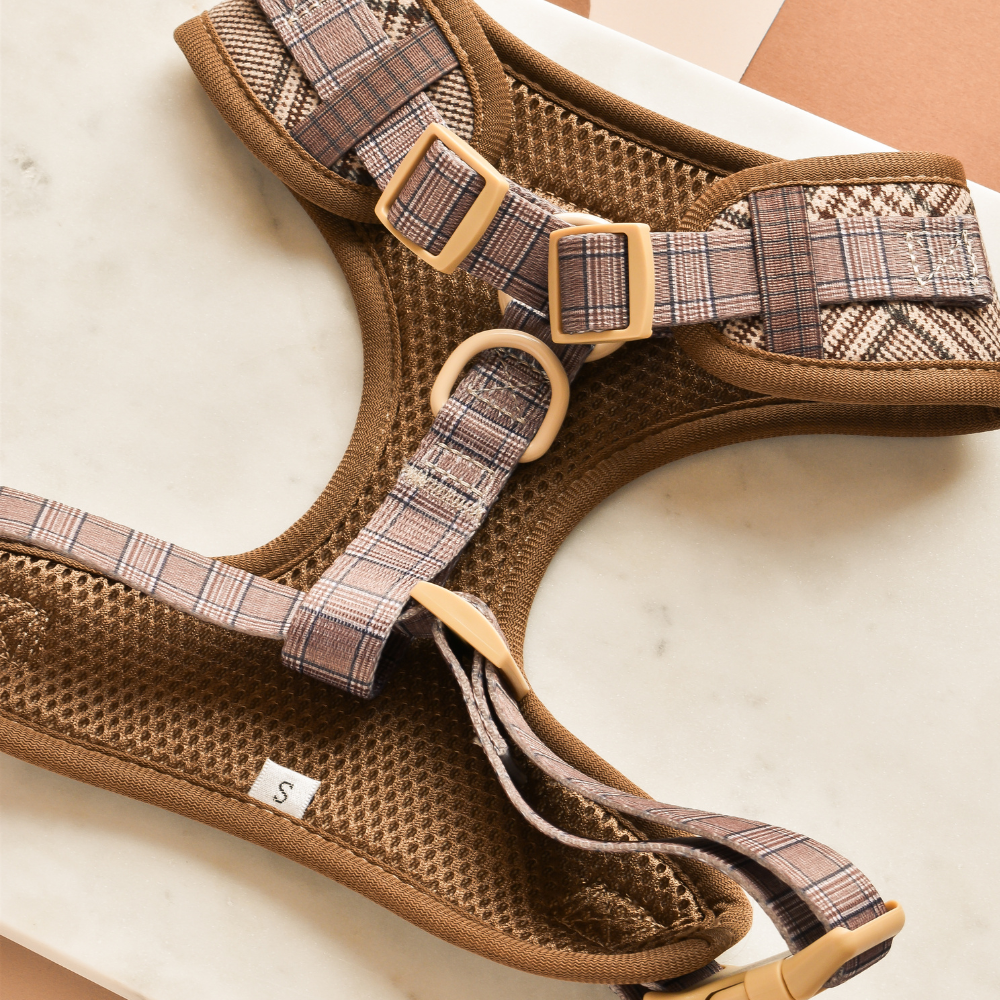 Harnais réglable COCOPUP LONDON pour chien Pup Plaid à motif tartan