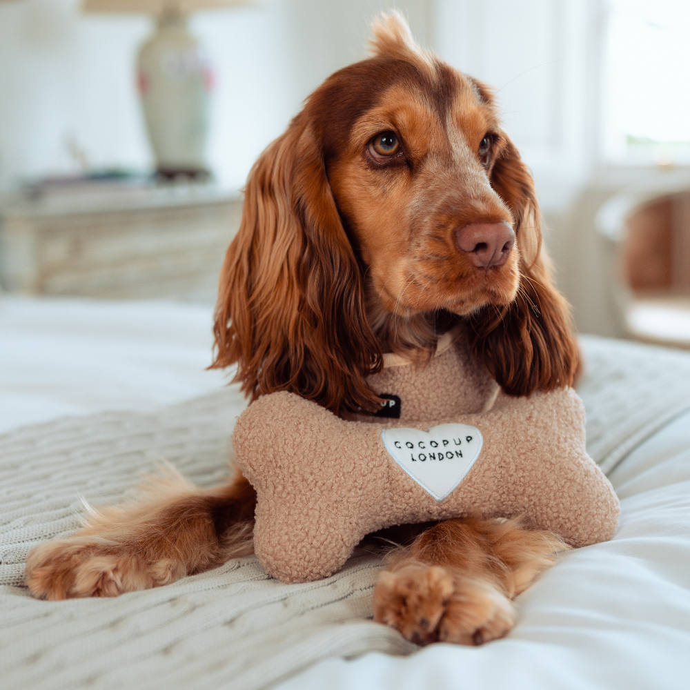 Jouet os Teddy Rupert