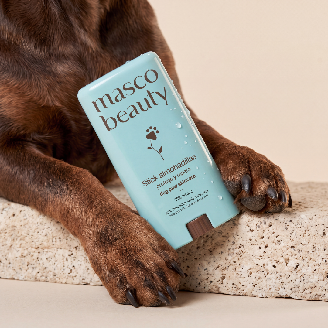 Stick protecteur & réparateur pour coussinets — Soin nomade Masco Beauty