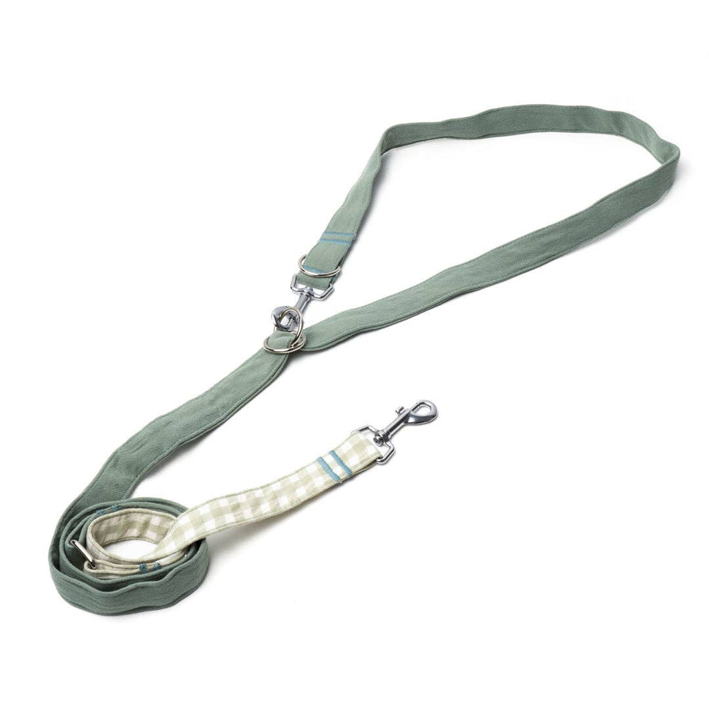Laisse pour Chien Marieth - Vert Pastel