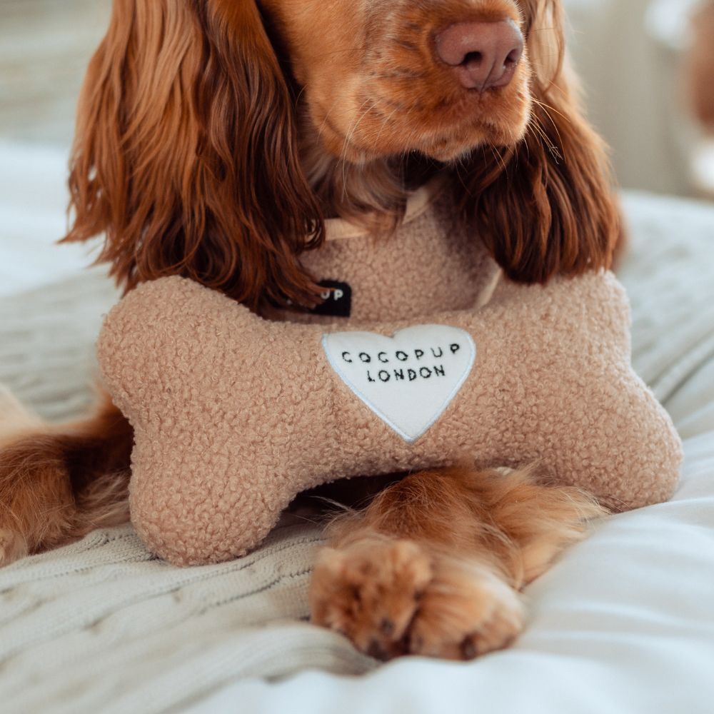 Jouet os Teddy Rupert