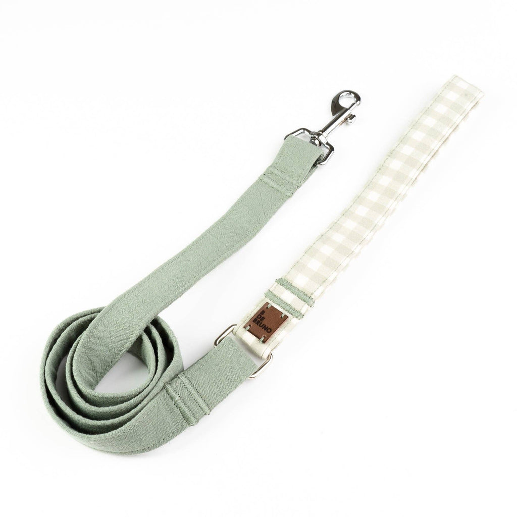 Laisse pour Chien Marieth - Vert Pastel