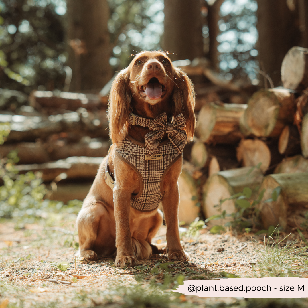 Harnais réglable COCOPUP LONDON pour chien Pup Plaid à motif tartan