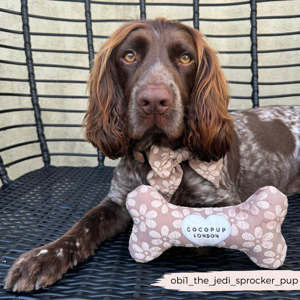 Jouet os Mocha Flower pour chien
