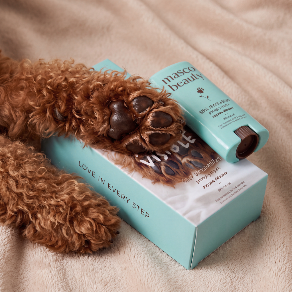 Stick protecteur & réparateur pour coussinets — Soin nomade Masco Beauty