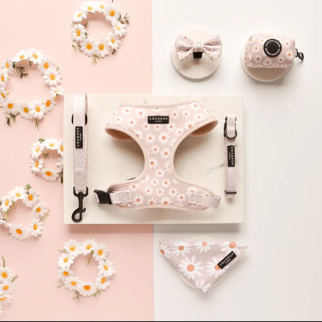 Collection Printemps-Eté : Marguerite