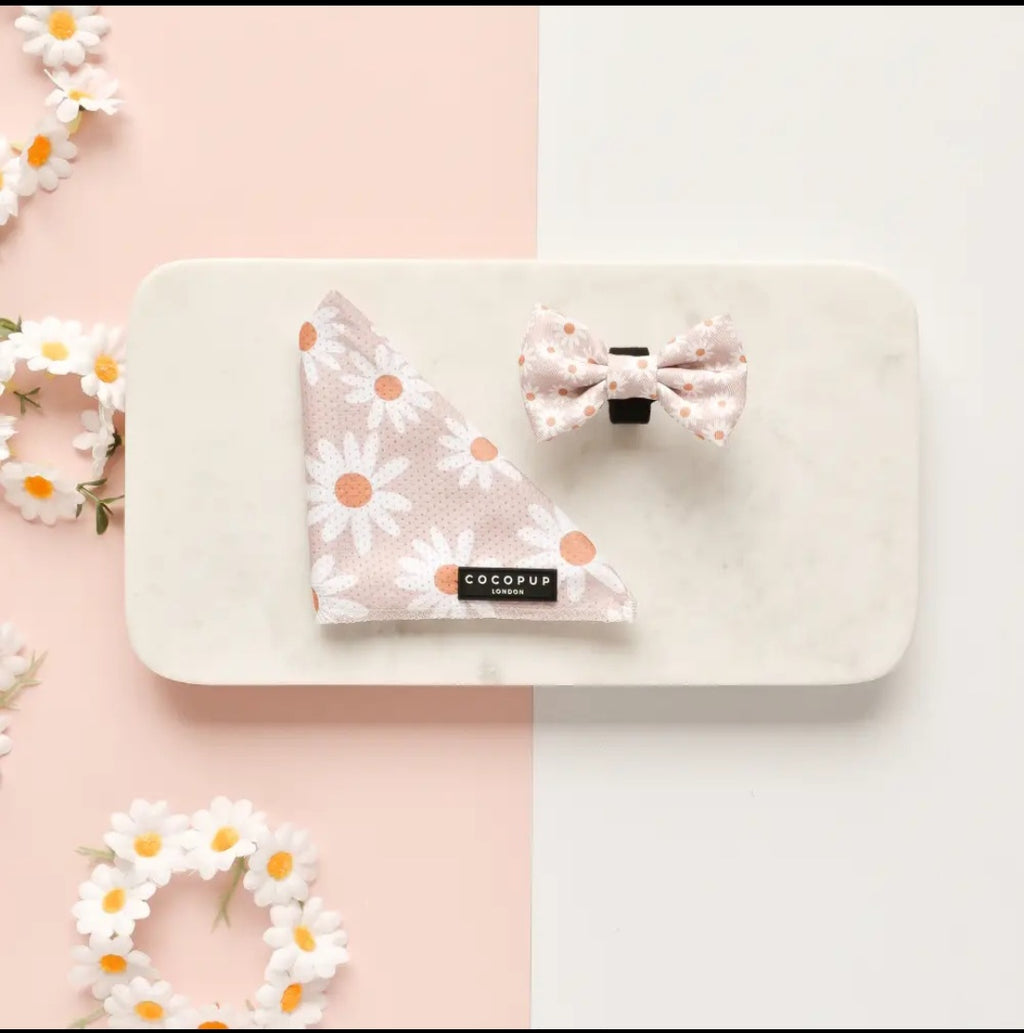 Collection Printemps-Eté : Marguerite