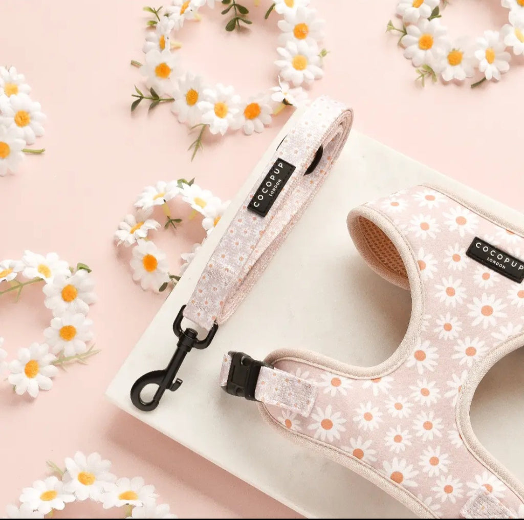 Collection Printemps-Eté : Marguerite