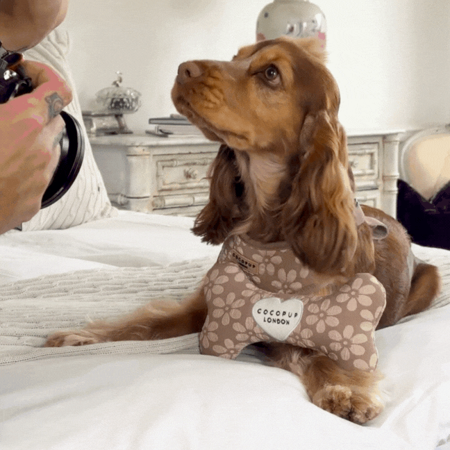Jouet os Mocha Flower pour chien