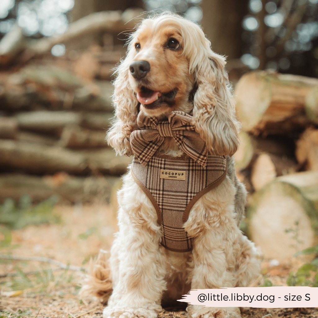 Harnais réglable COCOPUP LONDON pour chien Pup Plaid à motif tartan