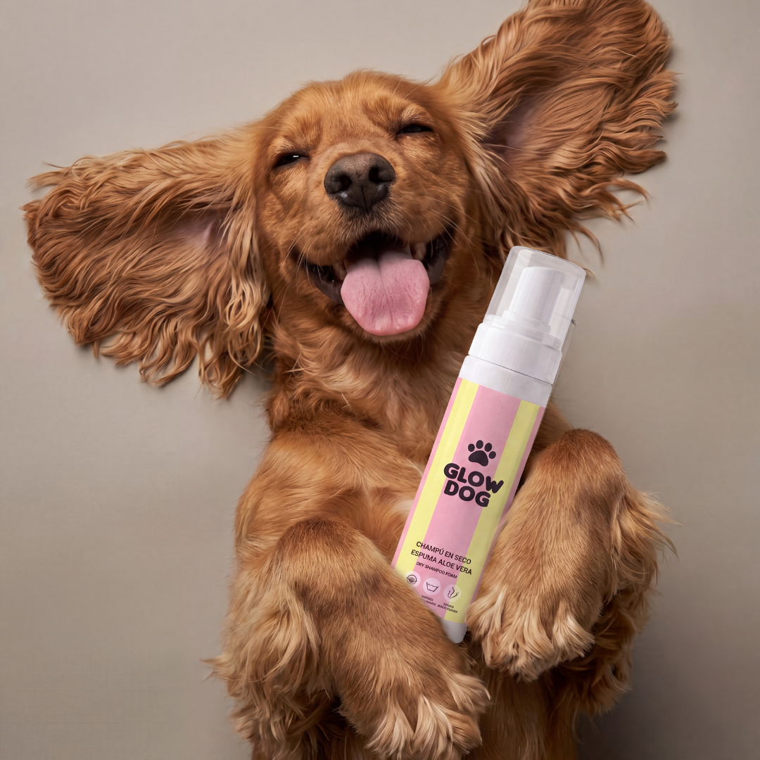 Mousse d'Aloe vera pour chiens – Shampooing sec sans eau- Masco Beauty
