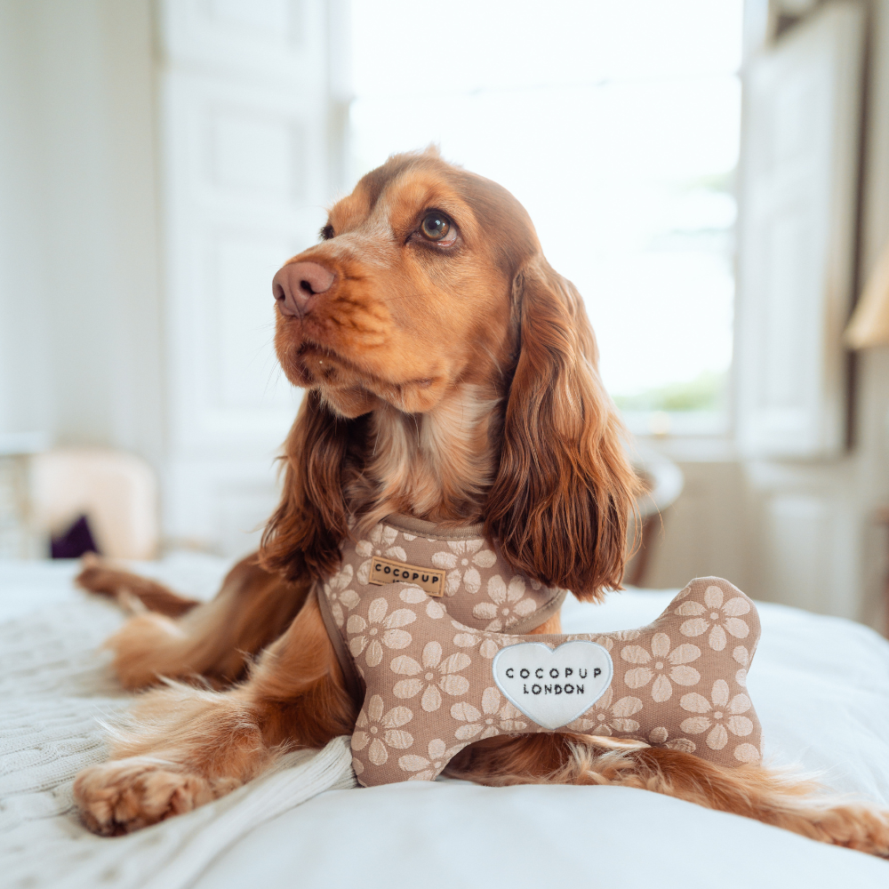 Jouet os Mocha Flower pour chien