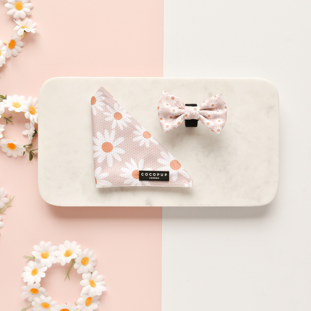 Nœud papillon en forme de marguerite