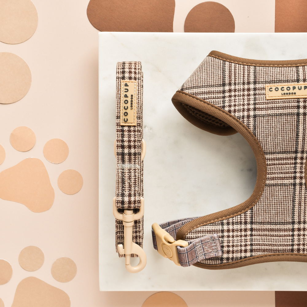 Laisse pour chien COCOPUP motif tartan Pup Plaid
