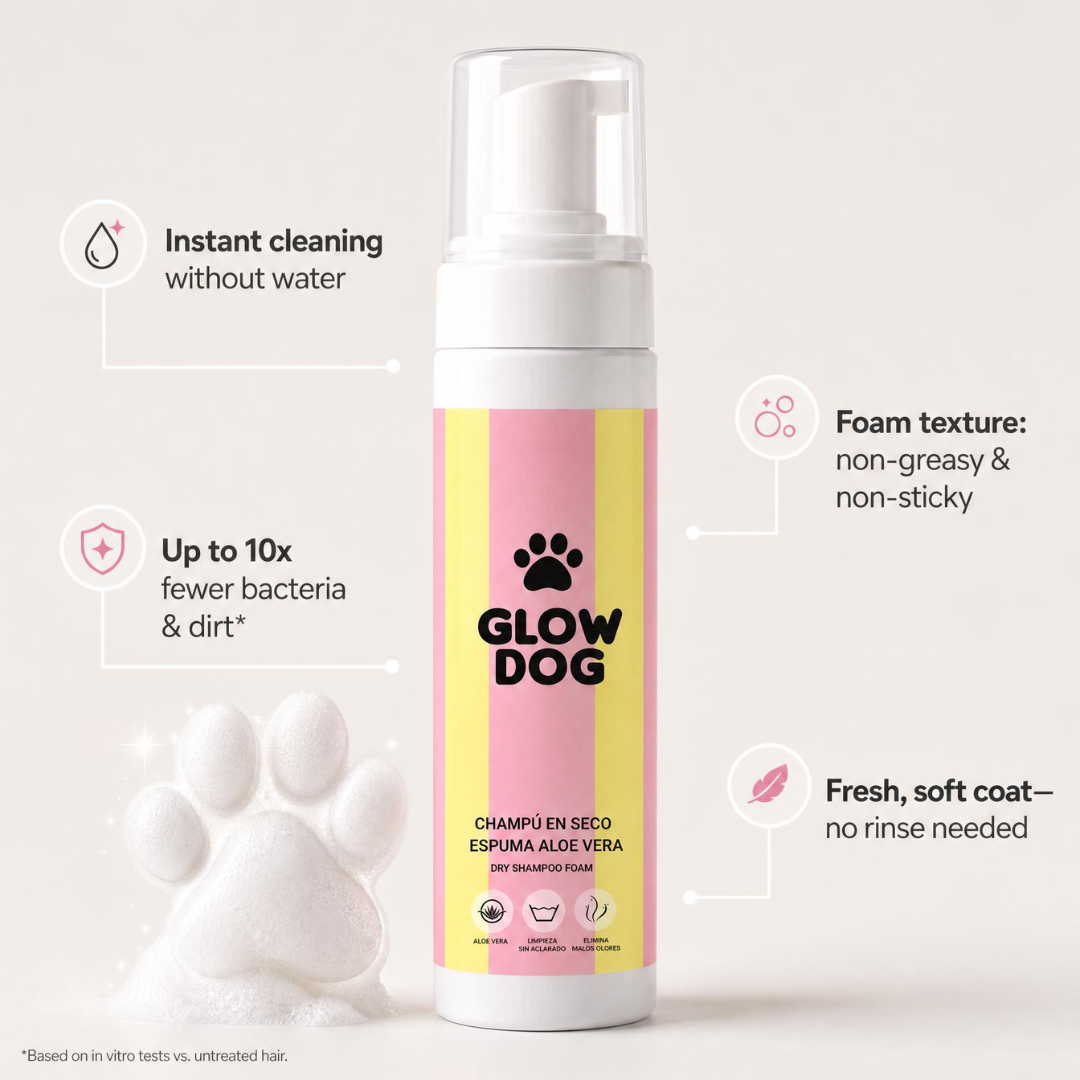 Mousse d'Aloe vera pour chiens – Shampooing sec sans eau- Masco Beauty