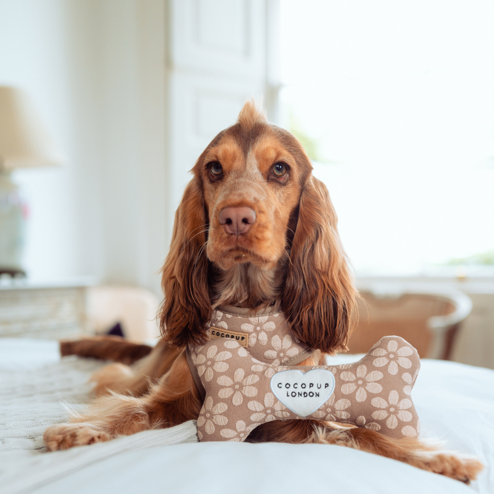 Jouet os Mocha Flower pour chien
