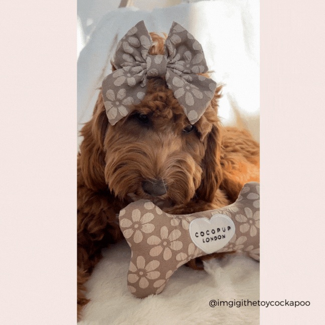Jouet os Mocha Flower pour chien