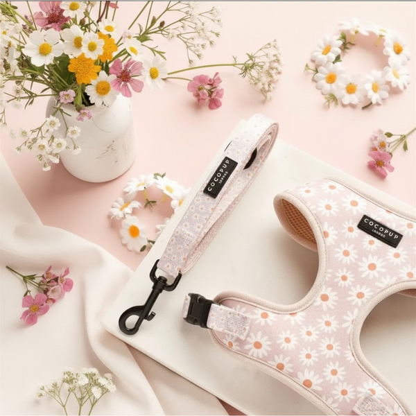 La laisse Daisy Chain - COCOPUP